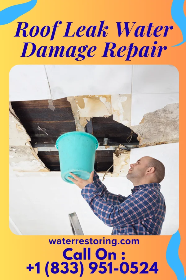 Roof Leak Water Damage Repair in Haysville, PA