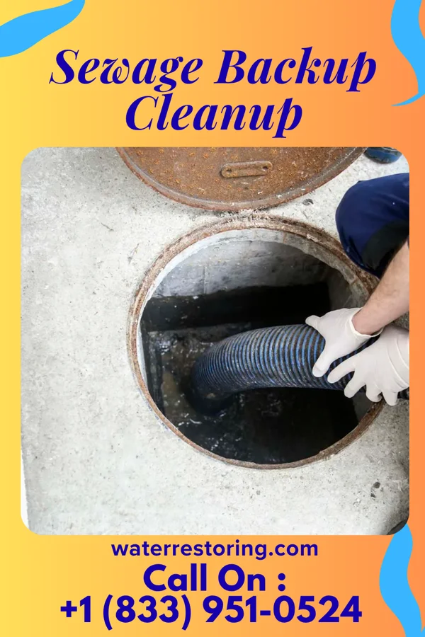 Sewage Backup Cleanup in Haysville, PA