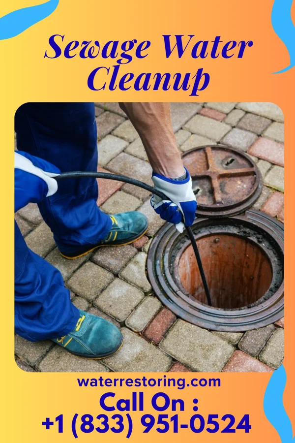 Sewage Water Cleanup in Haysville, PA