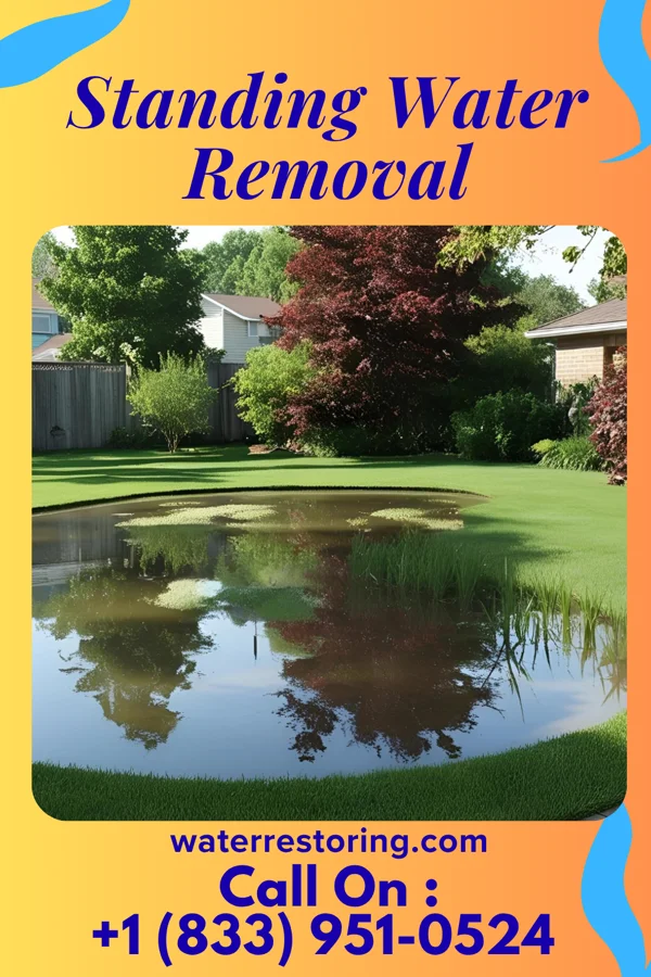 Standing Water Removal in Haysville, PA